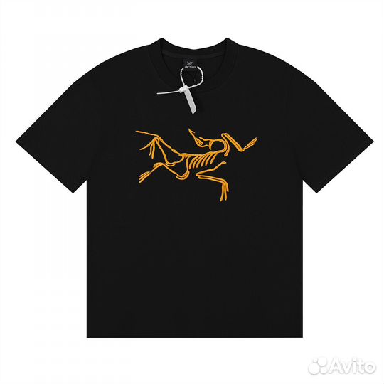 Футболка Arcteryx Palace