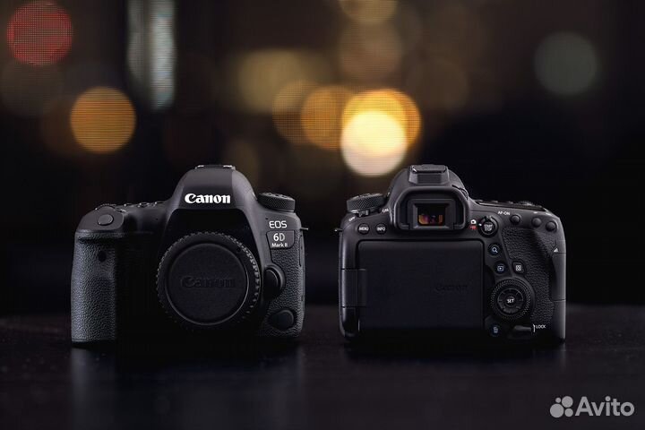 Canon eos 6d mark ii body
