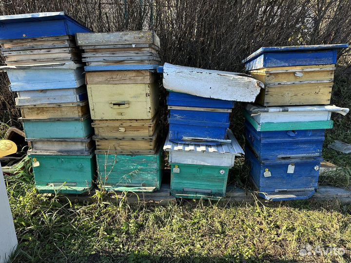 Ульи для пчел