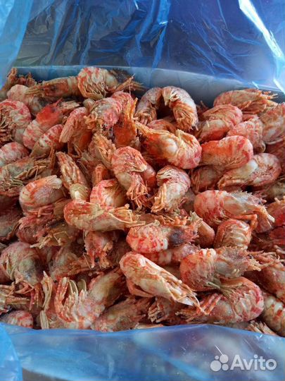Морепродукты