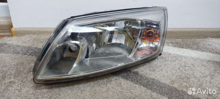 Фара гранта