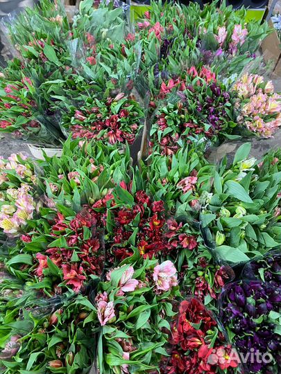 Букет из альстромерий