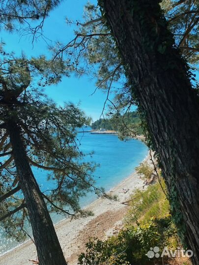 Чёрное море из Перми на поезде. Лето 2024