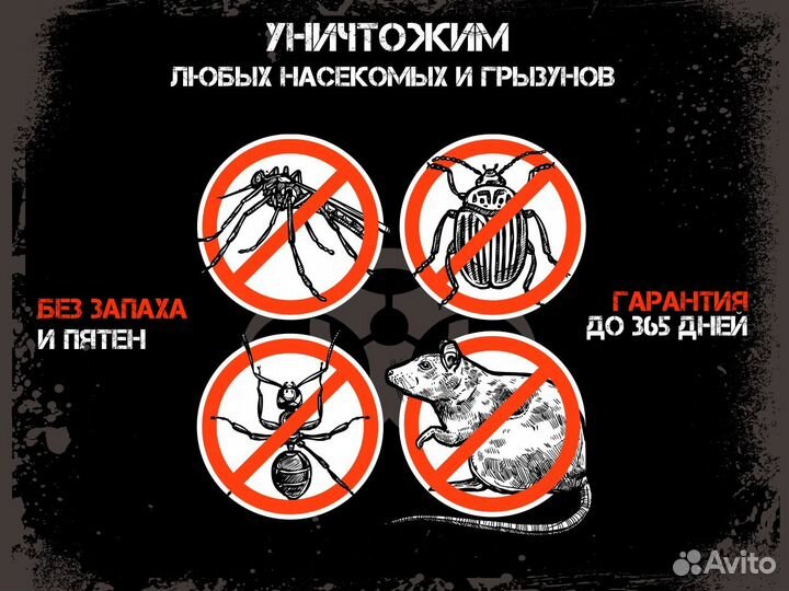 Уничтожение тараканов, клопов, грызунов, насекомых
