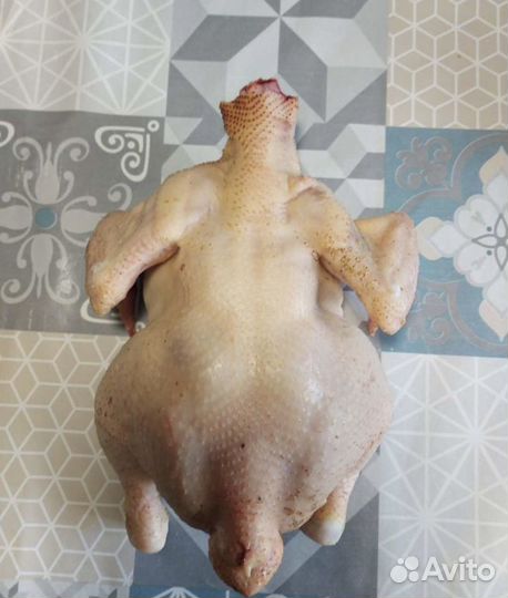 Тушки деревенских курочек