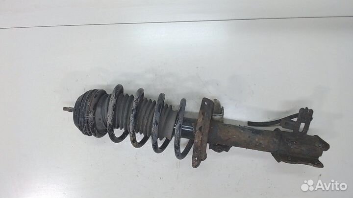 Амортизатор подвески Opel Meriva 2010, 2010