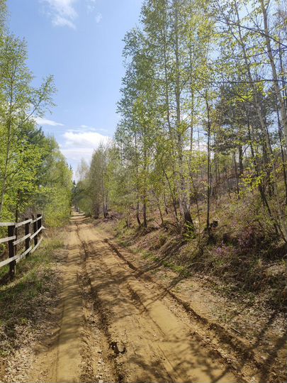 Участок 10 сот. (СНТ, ДНП)