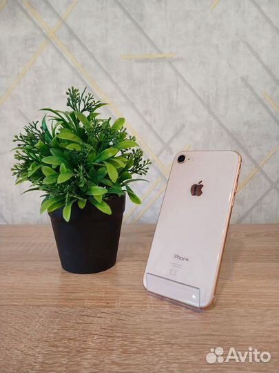 iPhone 8, 64 ГБ