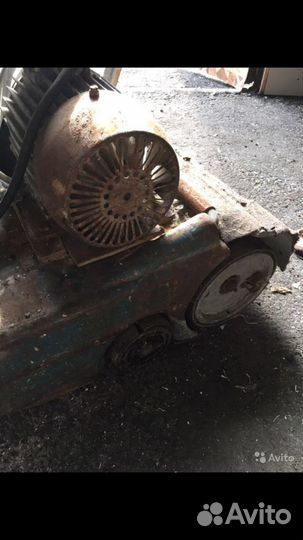 Цыклевальник