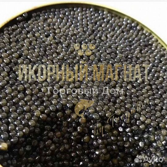Черная икра от производителя