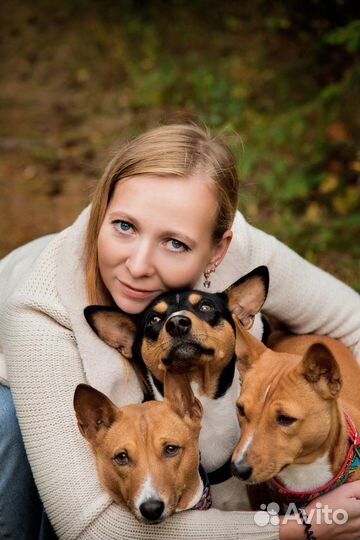 Вязка и запись на щенков