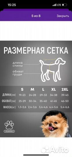 Зимний комбинезон на собаку маленькой породы