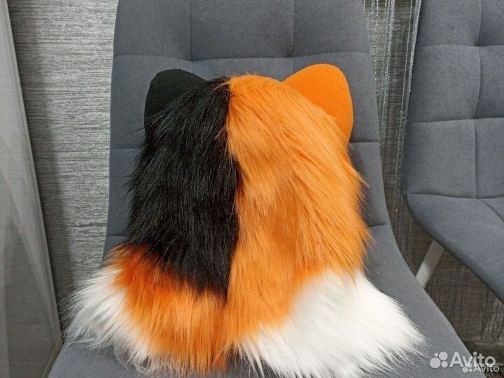 Фурсьют кошки