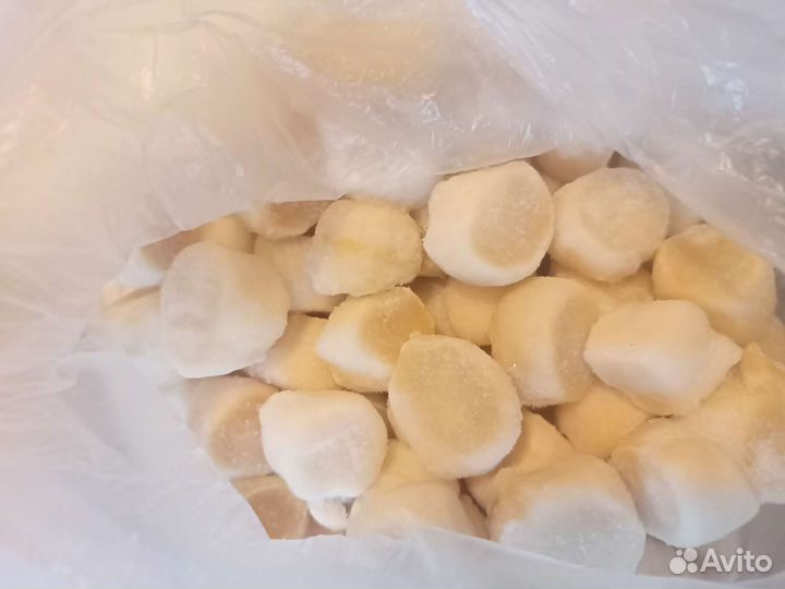 Филе морского гребешка