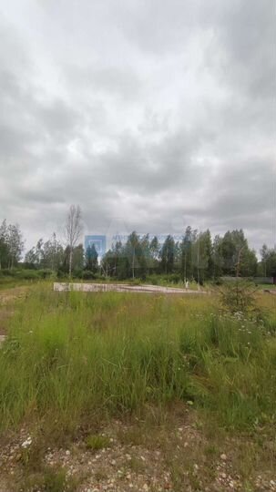 Участок 50 сот. (СНТ, ДНП)