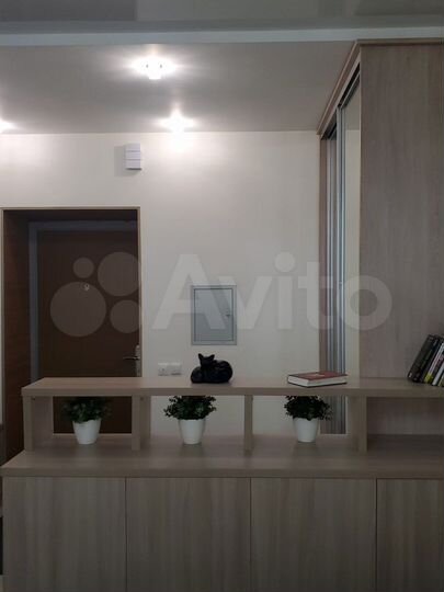 1-к. квартира, 50 м², 7/20 эт.