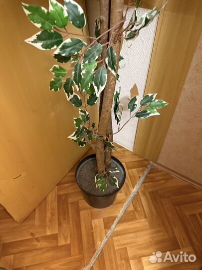 Искусственные цветы