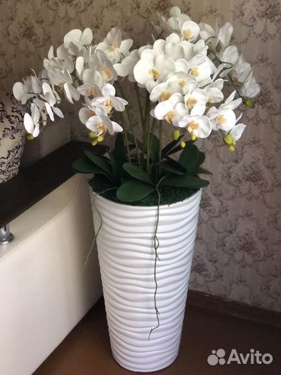 Орхидея в напольном кашпо