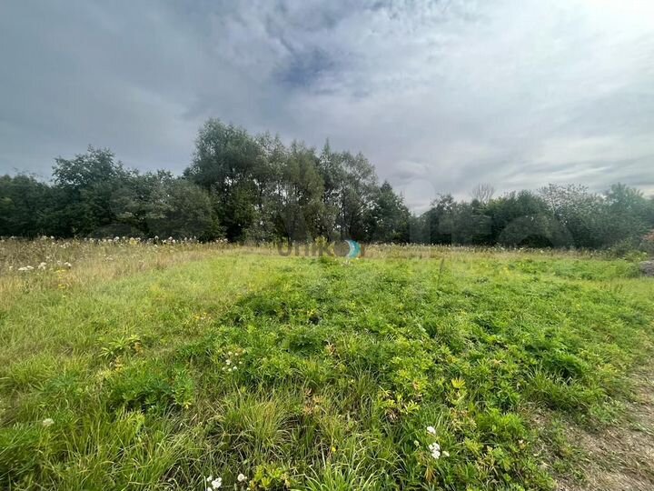 Участок 9,9 сот. (ИЖС)