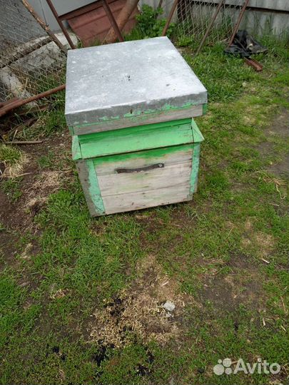 Пчелиные ульи