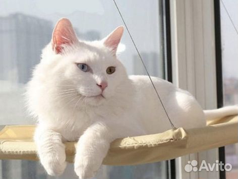 Лежанка гамак для кота на окно