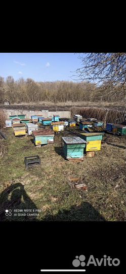 Улей для пчел бу 25 штук