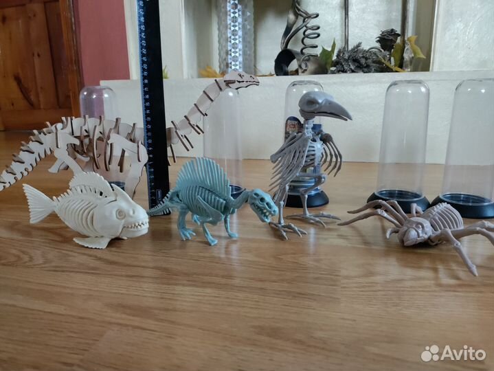 Скелет животного