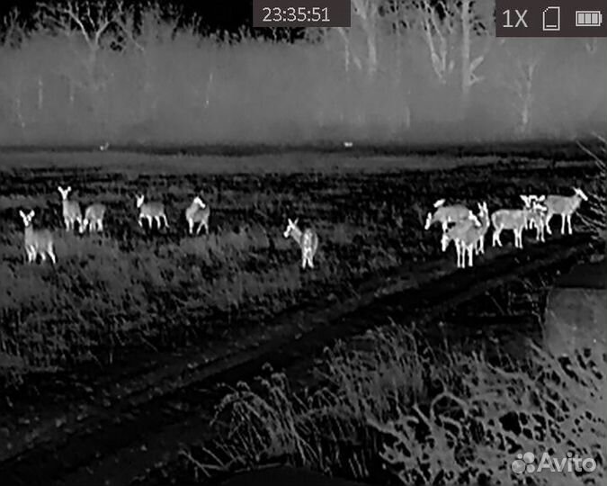 Тепловизионный прицел аркон alpha st 25