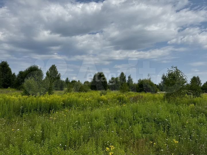 Участок 28,1 сот. (ИЖС)