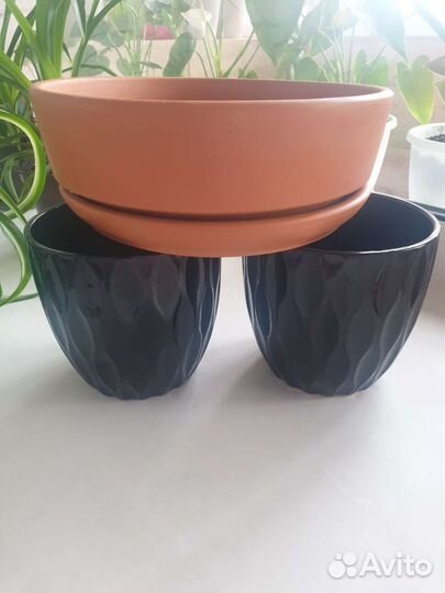 Керамический горшок для цветов