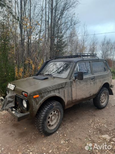 Нива для леса