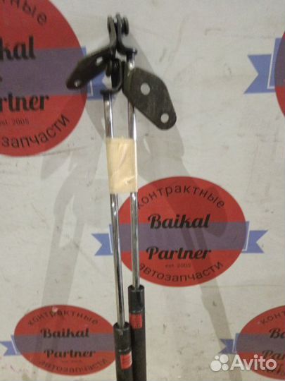 Амортизаторы 5й двери Mazda Demio DW3W B3E 2001