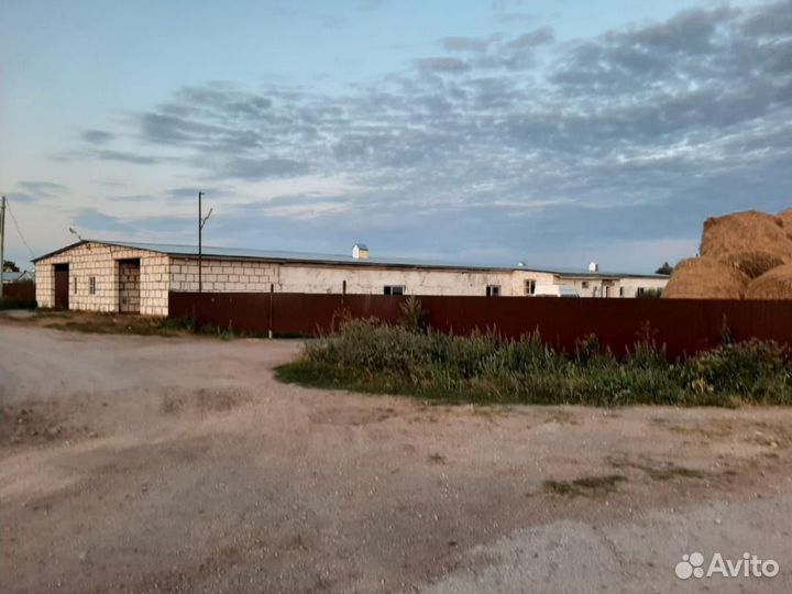 Молочная ферма