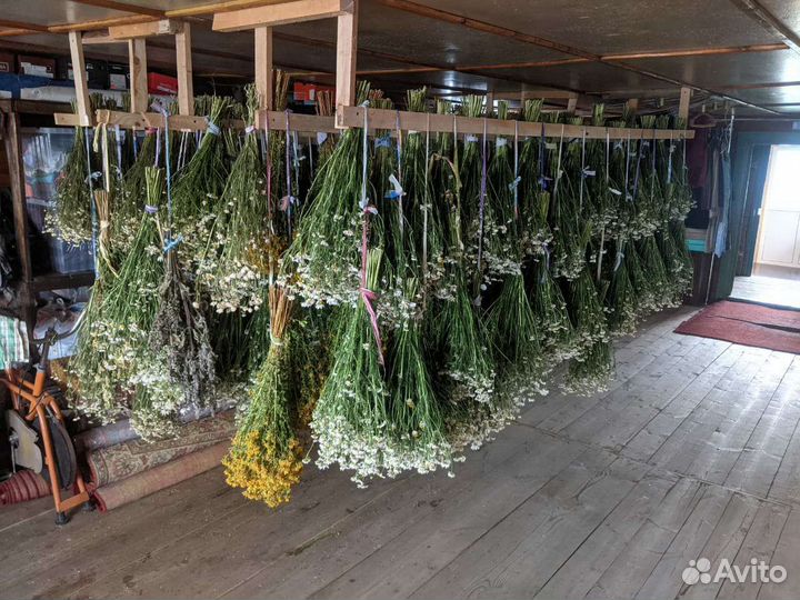 Веники дубовые