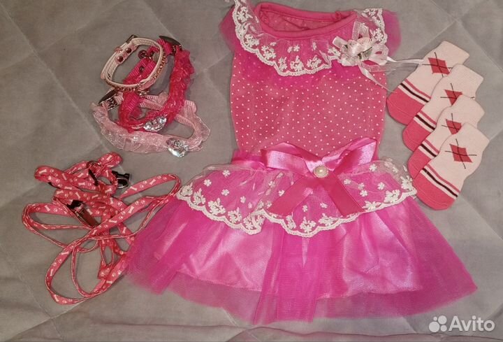 Платье, носочки, поводок, ошейники для кошки/собак