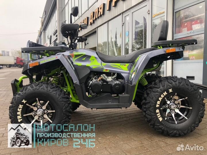 MotoLand 200 wild track x pro с лебедкой