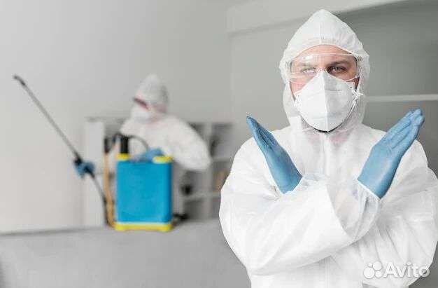 Дезинсекция от клопов, тараканов, блох, муравьев