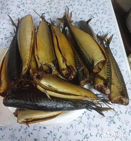 Копчёная рыба скумбрия
