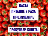 Упаковщики /Вахта 15/30 смен/Жилье+питание
