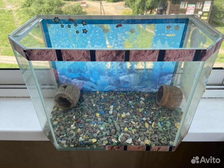 Аквариум