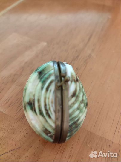 Ракушка в виде кошелька, сумочки, маленькая