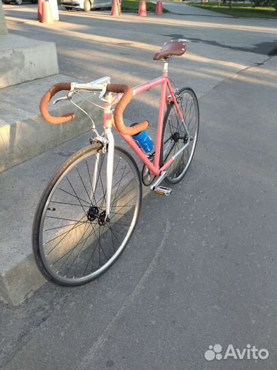 Bear bike sochi