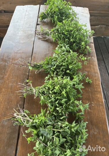 Мята свежая и сушеная