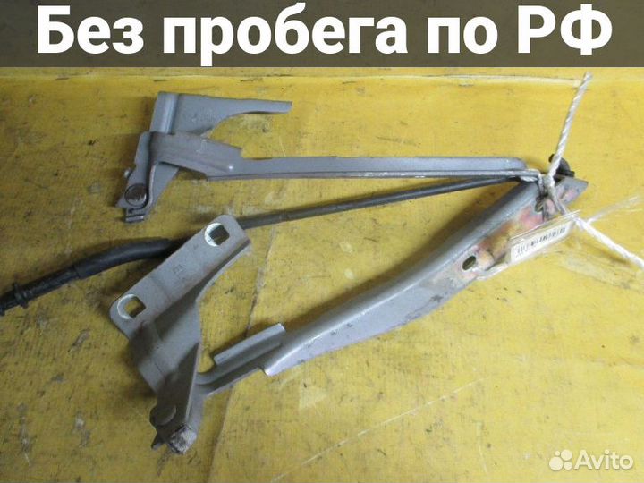 Петля капота Nissan Note E11