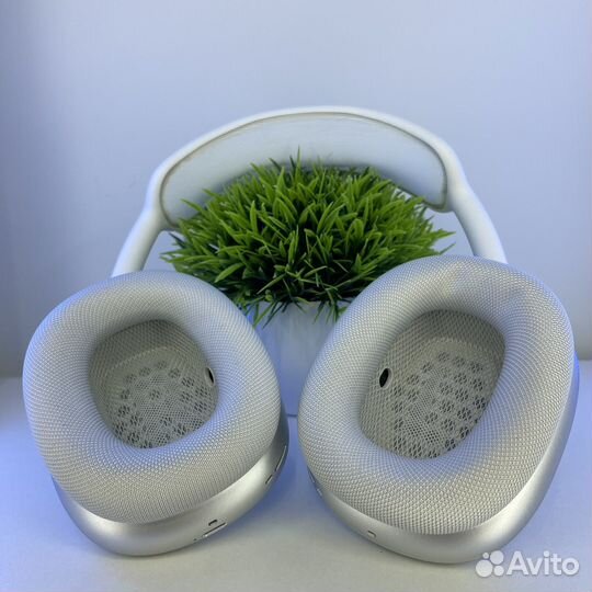 Airpods max OPC