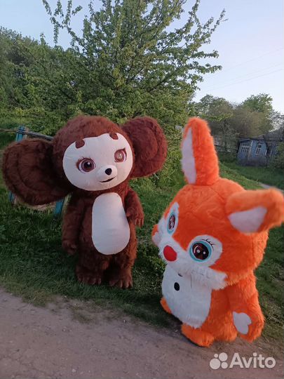 Пневмокостюм чебур