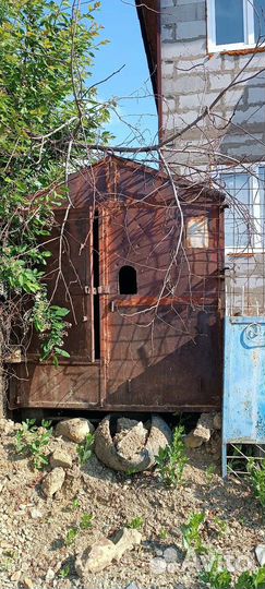 Голубятня продажа