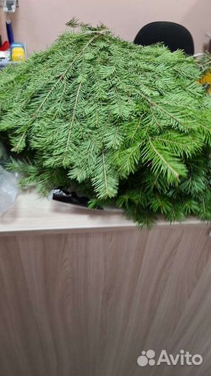 Веники для бани