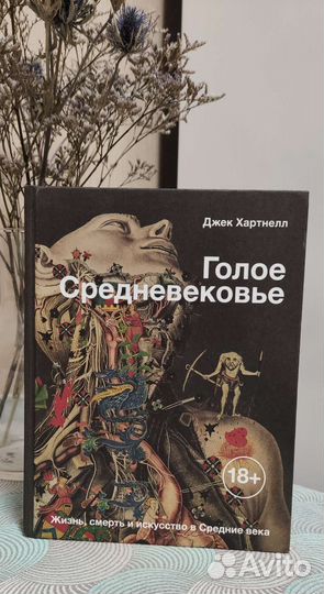 Голое Средневековье Книга