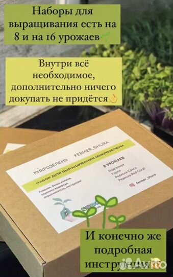 Набор для выращивания микрозелени